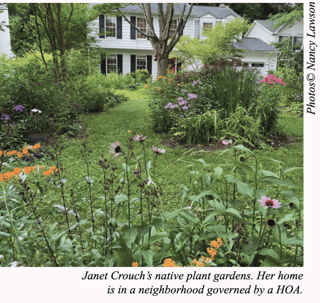 Janet Crouch's native plant gardens. Her home is in a neighborhood governed by a HOA. A colorful garden is in front of a home.
