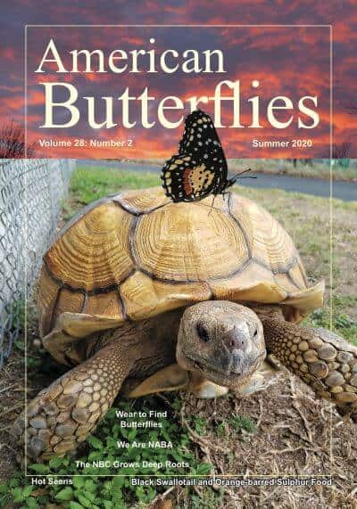 American-Butterflies-Summer-2020-Volume-28-Number-2